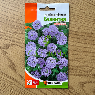 Вербена гібридна Блакитна 0.1 г 3688 фото