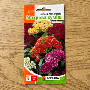 Целозія гребінчаста Махрова суміш 0.3 г 3698 фото