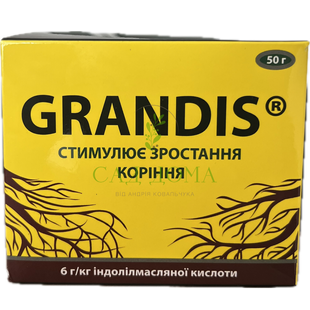 Укорінювач Грандіс (Grandis) 100 г Укорінювач Грандіс (Grandis) 100 г фото