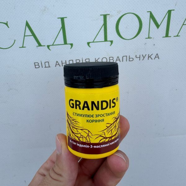 Укорінювач Грандіс (Grandis) 100 г Укорінювач Грандіс (Grandis) 100 г фото